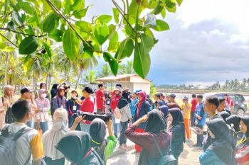 Kawasan Mangrove Luppung di Bulukumba Sulsel jadi objek penelitian