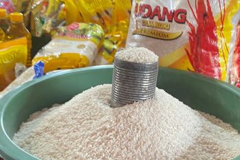 Harga beras di Bandarlampung stabil