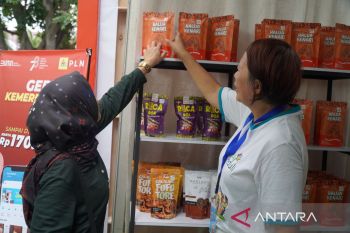 Produk UMKM Bbinaan PLN diborong pengunjung puncak Gernas BBI-BBWI Sulteng