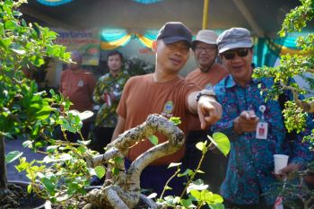 Gunungkidul gelar pameran produk pertanian 10-14 Agustus