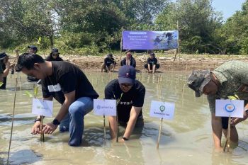 Amartha gandeng Jejakin tanam 1.000 mangrove di Pantai  Morodemak