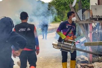 Legislator ingatkan warga waspadai DBD