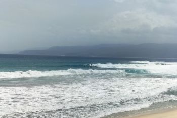 Selama Januari-Juli 2023, terjadi 69 kasus bencana alam di Pesisir Barat