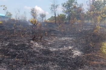 Dua peristiwa kebakaran lahan terjadi di Bintan dalam sehari
