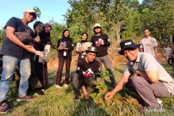 Ekspedisi Meratus 2023 tanam 1.000 pohon produktif