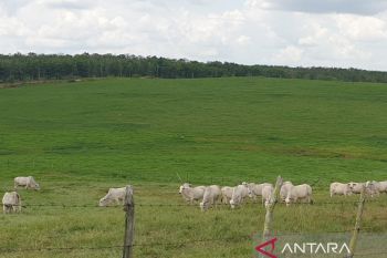 Masata Sumsel dukung desa wisata