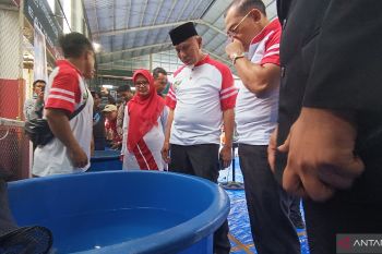 Gubernur Sumbar: Kontes ikan koi bisa jadi inspirasi bisnis bagi UMKM