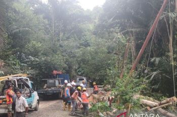 PLN Suluttenggo pulihkan kondisi listrik akibat longsor di Sangihe