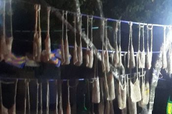100 pelaku UMKM Biak Numfor pasarkan produkl di Festival Harmoni HUT RI