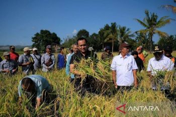 PT Vale mulai bangun pusat pembibitan IGP di Kolaka