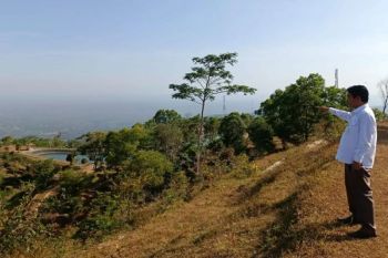 Gunungkidul menggunakan air Embung Batara Sriten untuk airi tanaman kopi