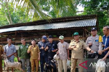 Polres OKU berikan bantuan 35 kambing untuk ketahanan pangan