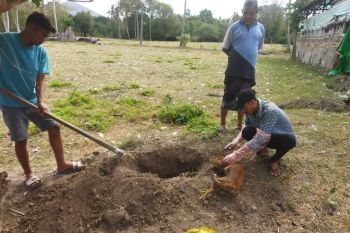 Polisi imbau warga Dompu NTB waspada gigitan anjing rabies