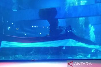 Rayakan HUT RI ke-78, JAQS kibarkan Merah Putih di bawah air
