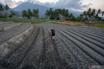 Bapanas soroti fenomena lapar tersembunyi meski tanpa bencana alam