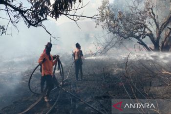 BPBD Palangka Raya waspadai ancaman peningkatan karhutla