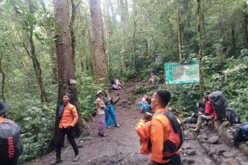 Basarnas evakuasi pendaki Gunung Kerinci yang alami cedera