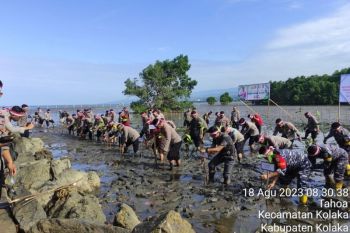 Polres Kolaka bersama Forkopimda tanam 1.000 mangrove di Tahoa Kolaka
