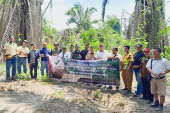 PT Maju Aneka Sawit tingkatkan program penghijauan sempadan sungai