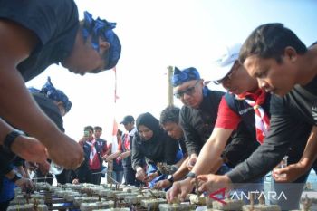 IDSurvey dan Relawan Bakti BUMN lakukan konservasi ekosistem pesisir