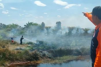 Sudah terjadi 38 kasus karhutla di Kapuas