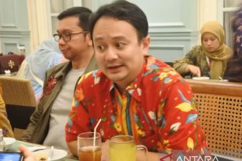 Wamendag Jerry Sambuaga yakin minyak goreng tak akan jadi langka
