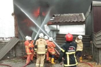 244 kebakaran lahan terbuka di Surabaya selama Januari-Agustus 2023