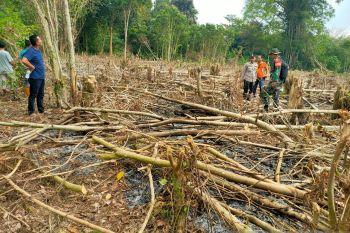 BPBD OKU:  Empat peristiwa karhutla  terjadi pada 2023