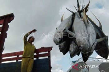 RI dapat tambahan kuota tangkapan tuna sirip biru jadi 1.670 ton