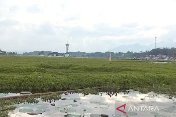 Ridwan Kamil: Eceng gondok di Situ Bagendit harus terus dibersihkan