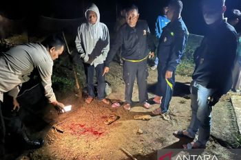 Polres Solok tangkap pelaku penganiayaan menantu hingga tewas