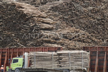 Kinerja industri kertas tumbuh 2,22 persen