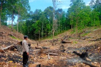 BPBD Lampung Selatan imbau warga tingkatkan kewaspadaan karhutla