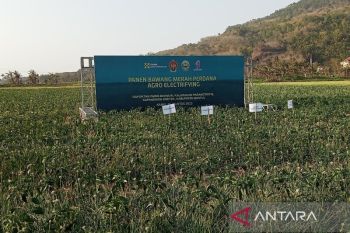Sri Sultan minta lahan pertanian selatan jangan semua ditanami bawang merah