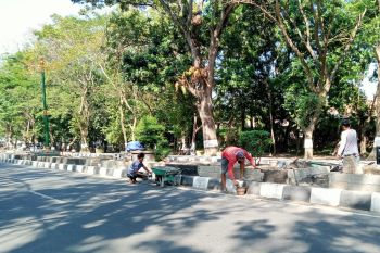 DLH Mataram menuntaskan penataan 1,8 kilometer median Jalan Udayana