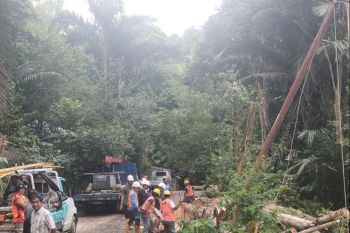 PLN Suluttenggo lakukan hilirisasi sektor industri tingkatkan ekonomi