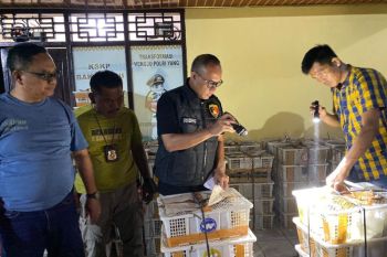 Polisi gagalkan penyelundupan 3.895 ekor burung di Pelabuhan Bakauheni