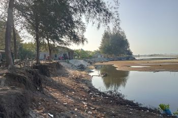 Pemkab Pasaman Barat harapkan pembangunan grib dari pemprov antisipasi meluasnya abrasi di objek wisata