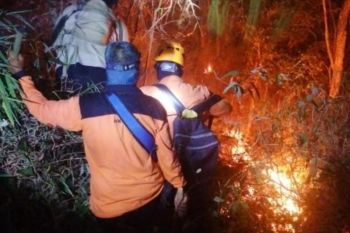 Ratusan petugas diturunkan untuk padamkan kebakaran hutan di Ciremai