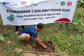 Astra dorong ekspor kopi Desa Sejahtera Tugu Utara ke Aljazair