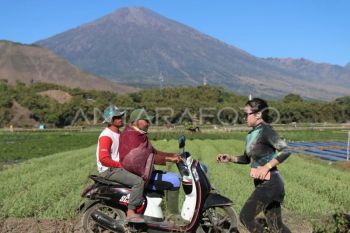 Stars &amp; Rabbit kagum melihat keindahan Lombok