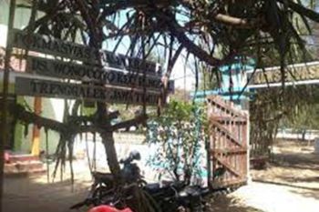 Pemkab Trenggalek lakukan penguatan sabuk hijau area konservasi penyu