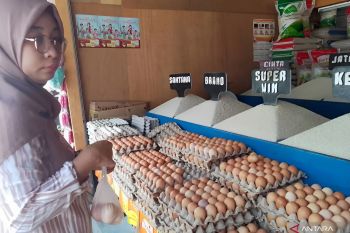 Disperindag sebut ketersediaan stok pangan relatif aman hadapi El Nino