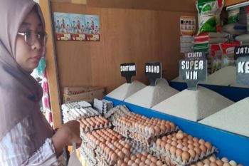 Pemkot Palu terus pantau bahan pangan di pasar jaga stabilitas harga
