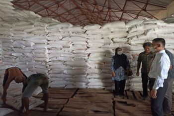 Dinas Pertanian Gunungkidul: Stok pupuk bersubsidi aman