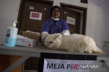 Vaksin rabies gratis di Indramayu
