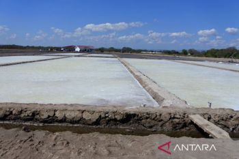 Gubernur Laiskodat sebut "Pugar" mampu tingkatkan produksi garam NTT