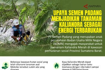 Upaya Semen Padang menjadikan Tanaman Kaliandra sebagai Energi Terbarukan