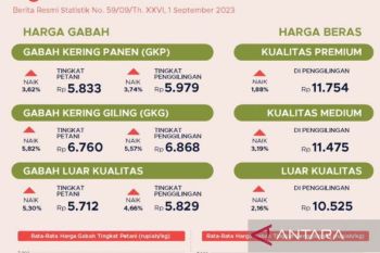 Harga gabah kering panen di tingkat petani Rp5.833 per kilogram selama Agustus 2023