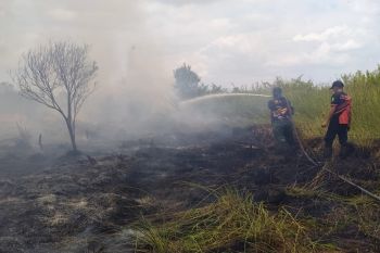 Tim pemadam antisipasi karhutla dekati permukiman warga